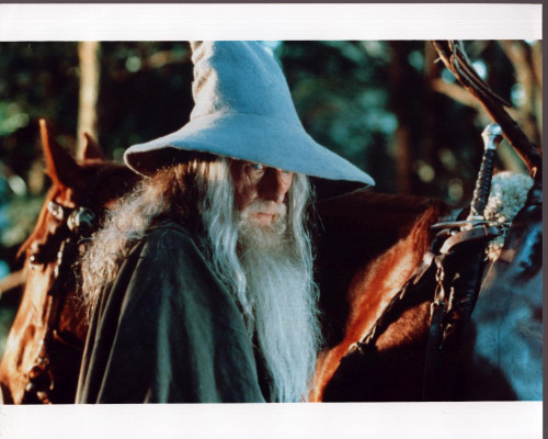 Ian Mckellen In The Lord Of The Rings: The Fellowship Of The Ring Photo Print (8 x 10)
