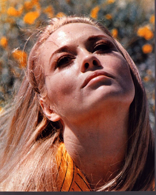 Faye Dunaway In Yellow Top Photo Print (8 x 10)