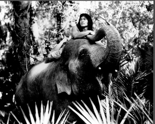 Jason Scott Lee Laying On Elephant In The Jungle Book Black And White Photo Print (8 x 10)