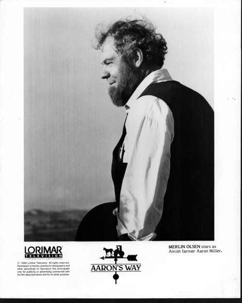 Merlin Olsen In Aaron'S Way Black And White Photo Print (8 x 10)