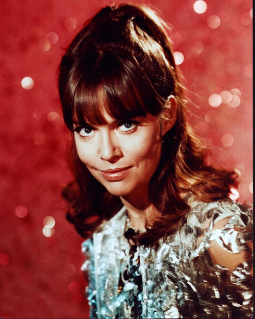 Barbara Feldon In Silver Top Photo Print (8 x 10)