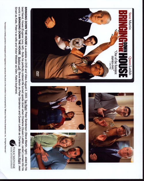 Bringing Down The House Movie Ad And Summary Photo Print (8 x 10)