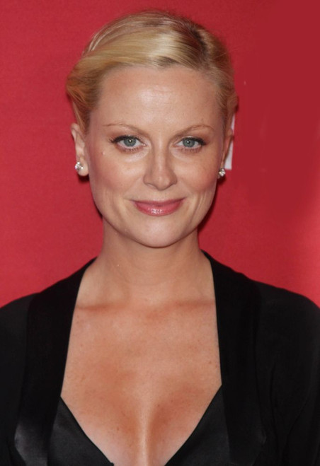 Amy Poehler 2008. Photo By John Barrett (Amy Poehler10562) Poster