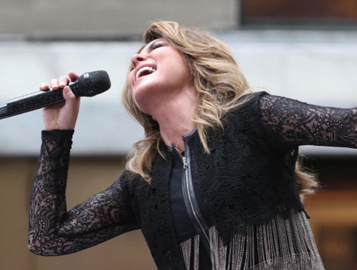 Shania Twain, 2017, Photo By John Barrett (Shania Twain4869) Poster