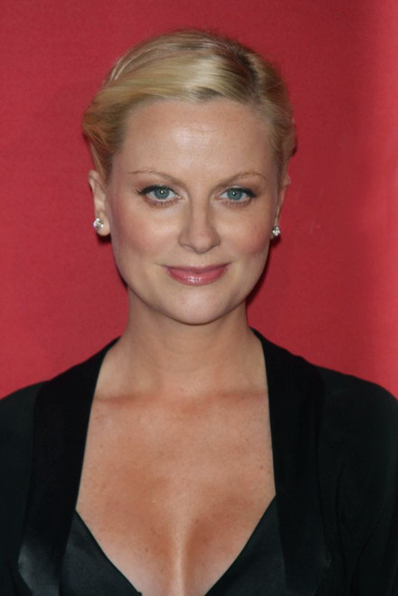 Amy Poehler, 2008 Photo By John Barrett (Amy Poehler3248) Poster