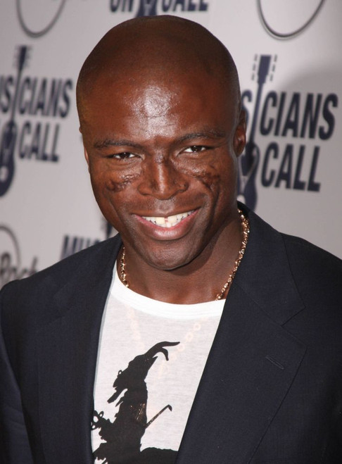 Seal, 2008, Photo By John Barrett (Seal1046) Poster