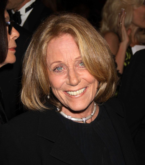 Leslie Gore, 2010, Photo By John Barrett (Leslie Gore2792) Poster