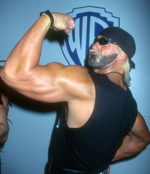 Hulk Hogan, 1997, Photo By John Barrett (Hulk Hogan3556) Poster