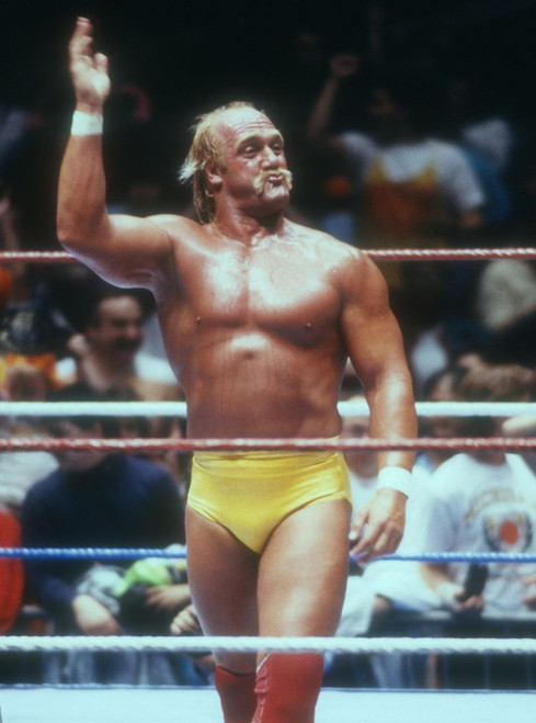 Hulk Hogan, 1989 Photo By John Barrett (Hulk Hogan3571) Poster