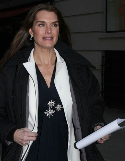 Brooke Shields, 2008, Photo By John Barrett (Brooke Shields1028) Poster Brooke Shields, 2008, Photo By John Barrett (Brooke Shields1028) Poster