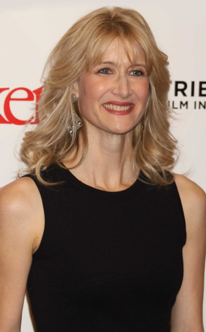 Laura Dern, 2010, Photo By John Barrett (Laura Dern1339) Poster