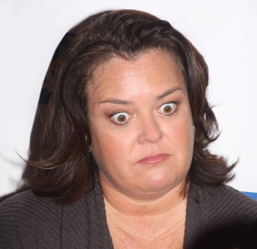 Rosie O'Donnell 2008, Photo By John Barrett (Rosie O Donnell1876) Poster