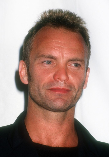 Sting, 1993, Photo By Michael Ferguson (Sting1916) Poster Sting, 1993, Photo By Michael Ferguson (Sting1916) Poster