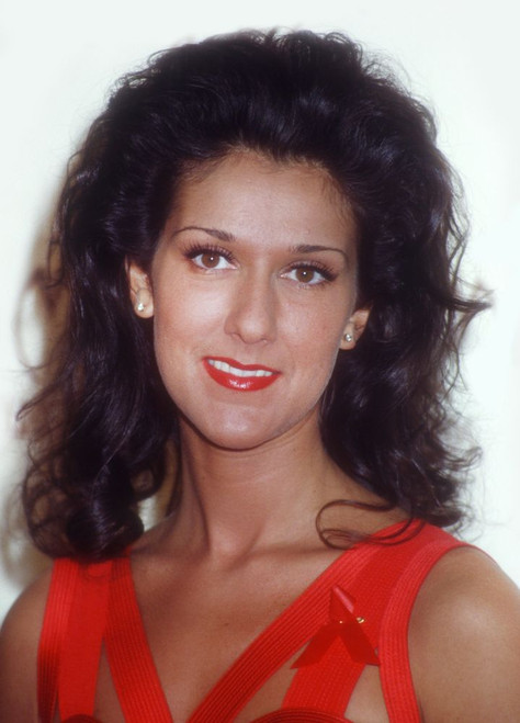 Celine Dion, 1993, Photo By Michael Ferguson (Celine Dion1168) Poster