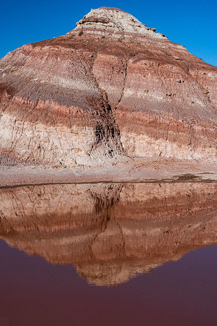 USA-Utah. Reflection-Bentonite Hills geological feature-Capitol Reef National Park Poster Print - Judith Zimmerman