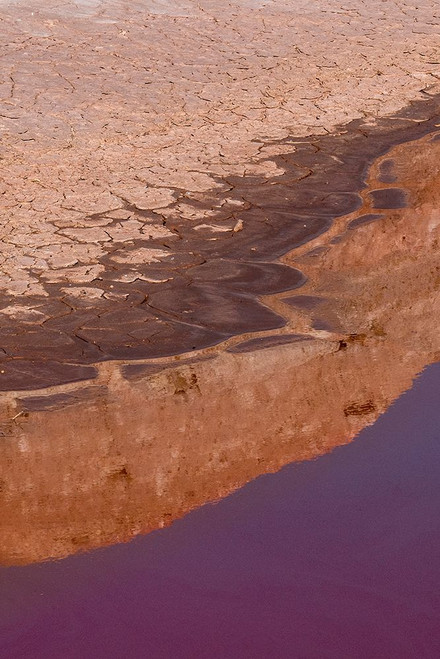 USA-Utah. Reflections of the Bentonite Hills geological feature-Capitol Reef National Park Poster Print - Judith Zimmerman
