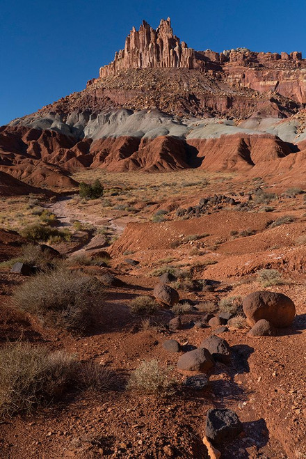 USA-Utah. The Castle-Capitol Reef National Park Poster Print - Judith Zimmerman