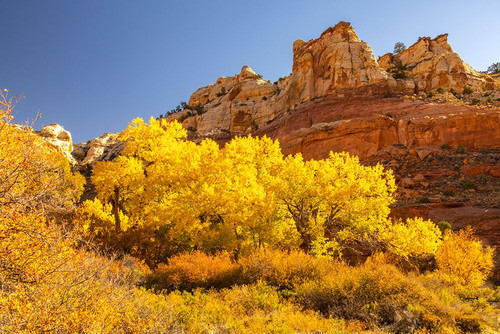 USA- Utah- Grand Staircase Escalante National Monument. Calf Creek Canyon landscape. Poster Print - Gallery Jaynes
