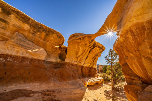 USA- Utah- Grand Staircase Escalante National Monument. Sunburst on eroded rock Poster Print - Gallery Jaynes