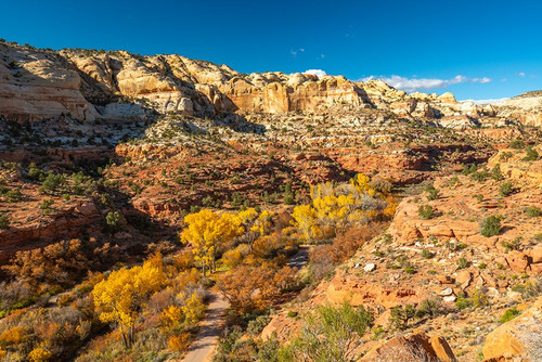 USA- Utah- Grand Staircase Escalante National Monument. Calf Creek Canyon Poster Print - Gallery Jaynes