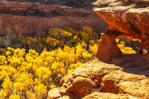 USA- Utah- Grand Staircase Escalante National Monument. Escalante River Basin rock formations. Poster Print - Gallery Jaynes