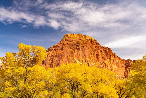 USA- Utah- Capitol Reef National Park. Red rock formation and fall cottonwood trees. Poster Print - Gallery Jaynes