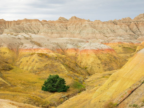 South Dakota- Badlands National Park. Badlands rock formations- Yellow Mounds Poster Print - Jamie and Wild