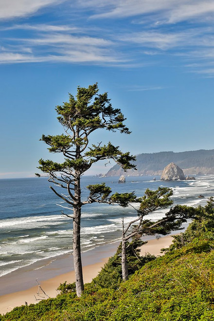 USA- Oregon. Cannon Beach with Haystack Poster Print - Darrell Gulin