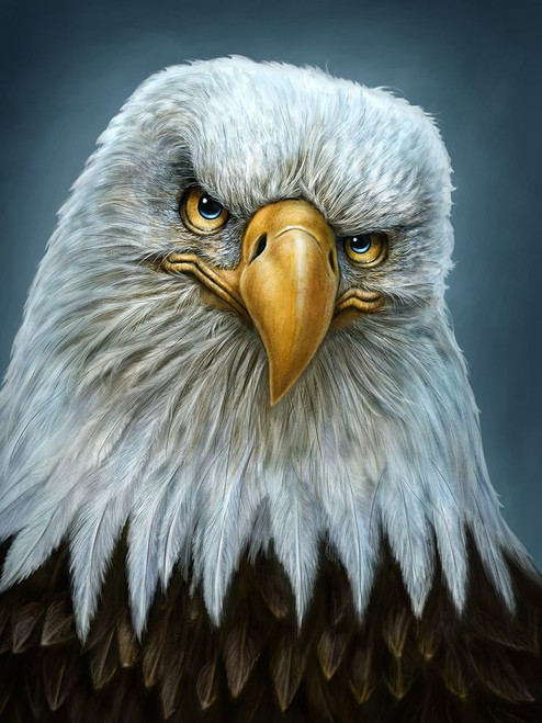 Bald Eagle Totem Poster Print - Patrick LaMontagne