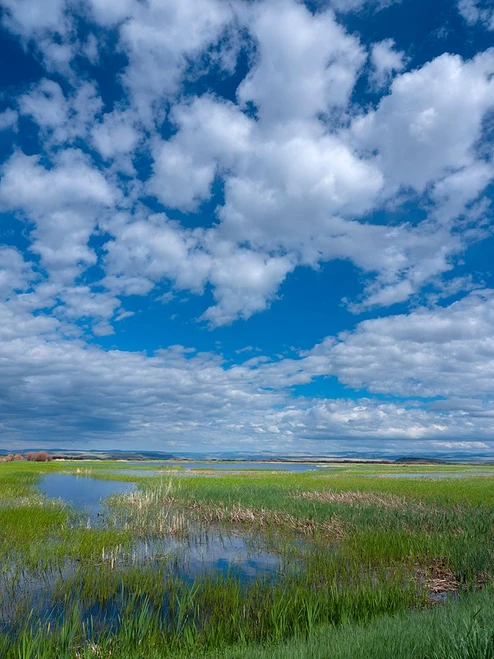 Malheur National Wildlife Refuge Poster Print - Betty Sederquist
