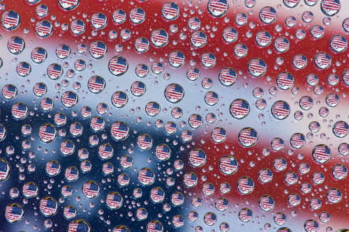 USA- Washington State- Sammamish. American Flag reflections in dew drops Poster Print - Darrell Gulin