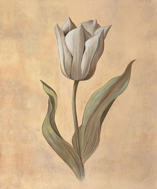 Tulip Poster Print - Virginia Huntington