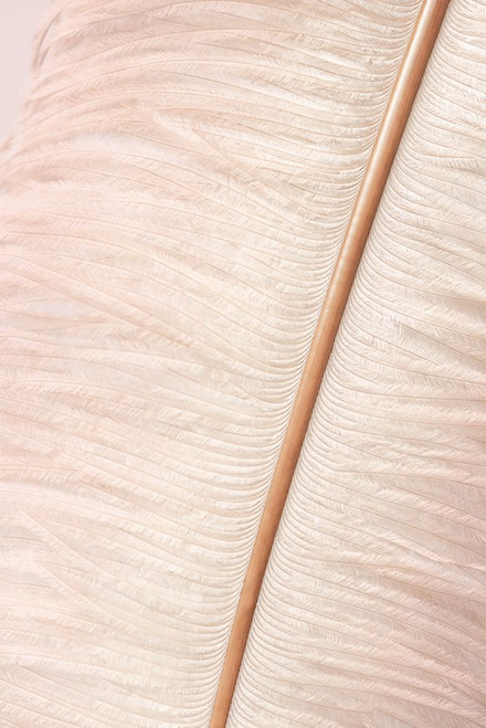 Feather Poster Print - III Studio
