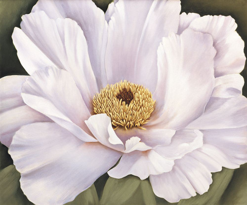 Peony Poster Print - Virginia Huntington