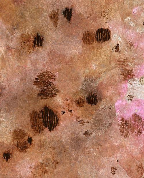 Sugared and Bronzed-7L Poster Print - Melissa Renee