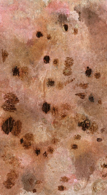 Sugared and Bronzed-2L Poster Print - Melissa Renee