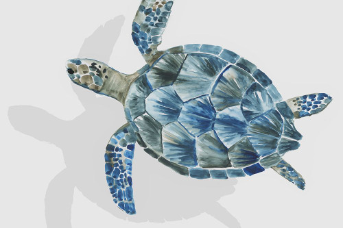 Turquoise Turtle Journey II Poster Print - Aimee Wilson