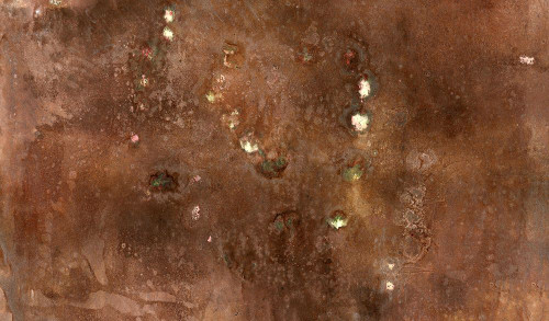 Bronzed-8L Poster Print - Melissa Renee