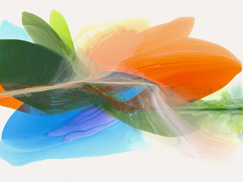 Orange Burst Poster Print - Vicki McFarland