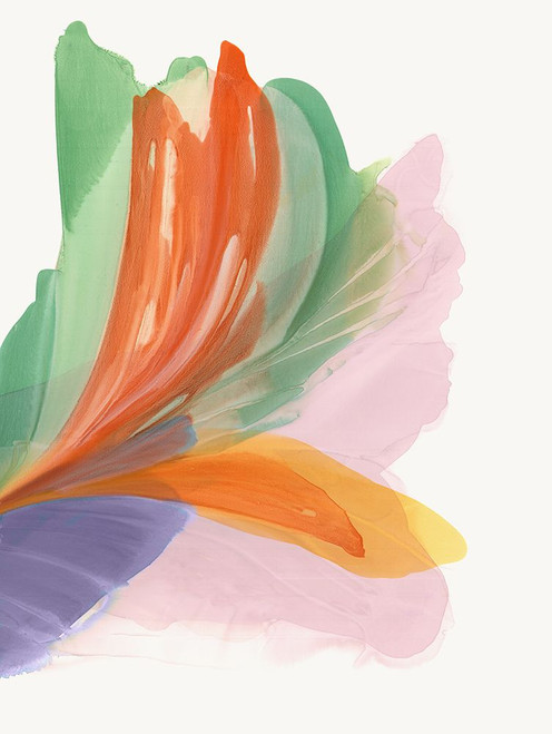 Blushing Feather II Poster Print - Vicki McFarland