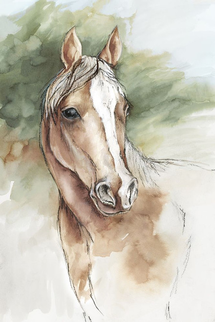 Equine Majesty Poster Print - Eli Jones