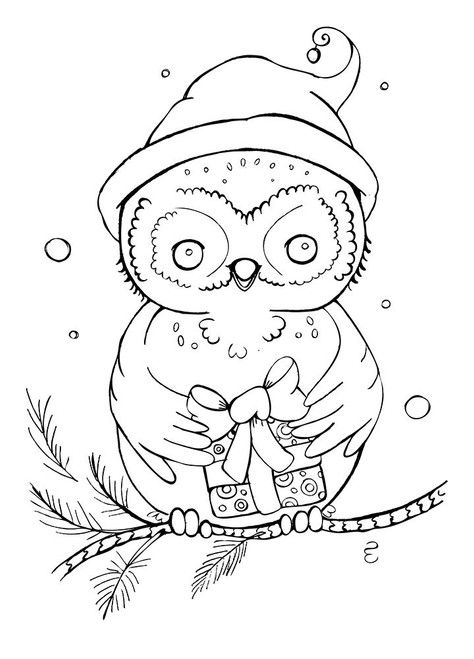 Owls Gift Poster Print - Valarie Wade