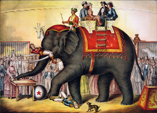 Performing elephant-1874 Poster Print - Apple Collection Vintage