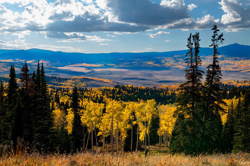 Continental Divide mountains and aspens-Colorado-Walden-USA. Poster Print - Betty Sederquist
