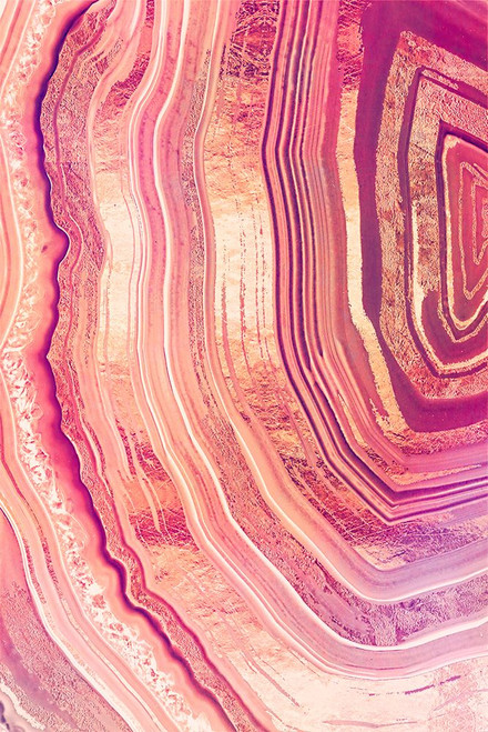 Tribeca Rose Geode Poster Print - Tina Lavoie