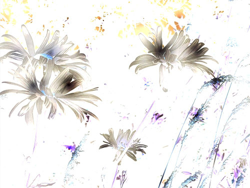 Flora Impressions 2 Poster Print - William Tenoever