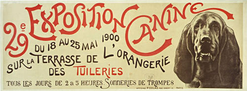 Exposition Canine Dachshund Poster Print - Apple Collection Vintage