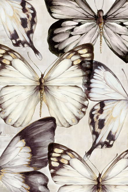 Cluster of Butterflies Poster Print - Eli Jones