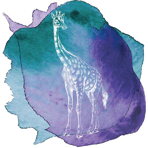 Color Spot Safari Animals Giraffe Poster Print - Tina Lavoie