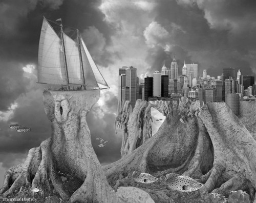 Fish out of Water Poster Print - Thomas Barbey